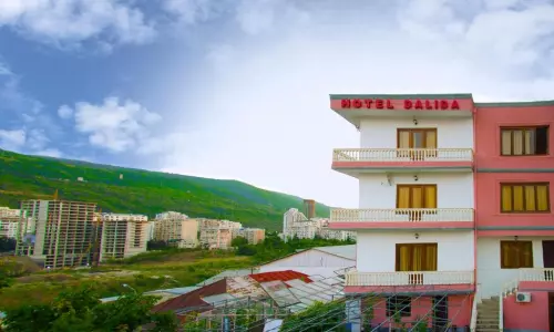 هتل دالیدا تفلیس هتل دالیدا تفلیس